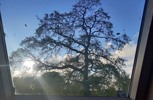 Saint Breward Ski Chalet | Blissful Escape Hengar Manor Cornwall