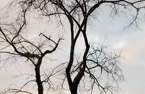 North Attleboro Apartment | Blissful lakefront sunsets