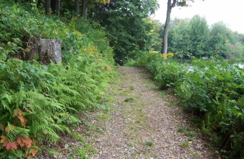 Bliss RV Rental | Blissful Lakefront stay!