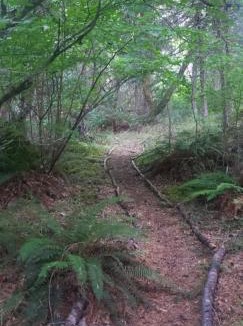 Sunny Valley House | Blissful Solitude Cottage