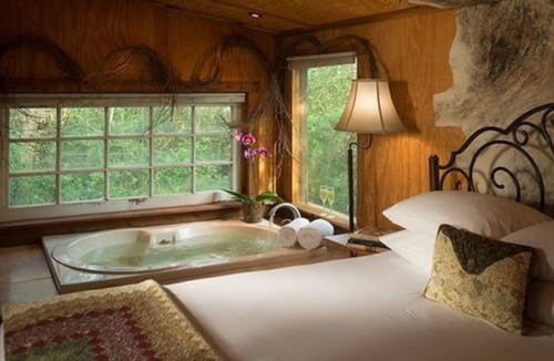 Cat Spring Bed & Breakfast | BlissWood B&B Ranch