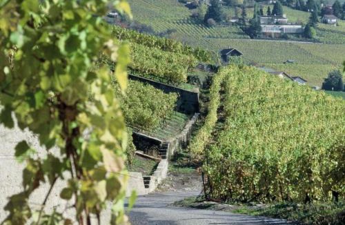 Blonay House | Blonay Logis de Vacances 2