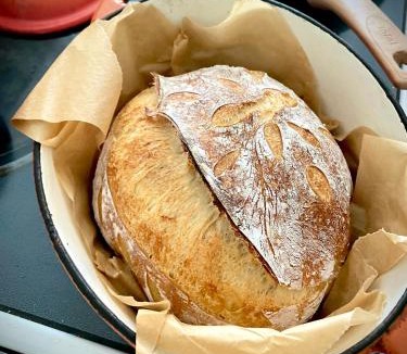 Mount Vision Bed & Breakfast | Bloom Farm Guesthouse