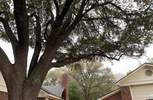 McGregor House | Blue Bonnet Cottage