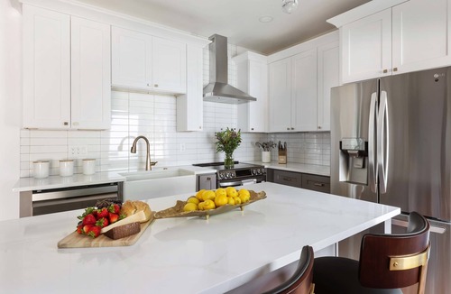 East Atlanta Apartment | Blue Burrow