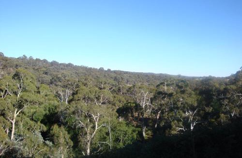 Shepherds Flat Bed & Breakfast | Blue Cliffs Retreat