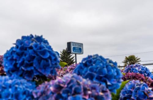 Brookings Hotel | Blue Coast Inn & Suites