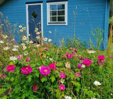 Maribo House | Blue Cottage On Idyllic Askø