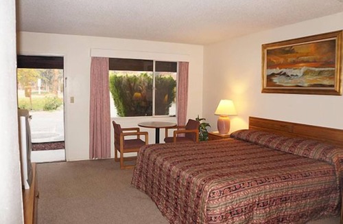 Willows Hotel | Blue Gum Motel