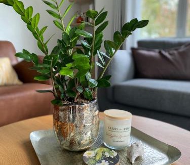 Warkworth Apartment | Blue Gum Stay