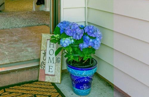 Southside House | Blue Heron