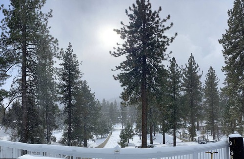 Wrightwood House | Blue Jay Suite
