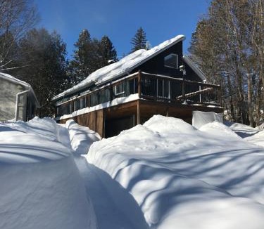 Prevost Ski Chalet | Blue Moon Cozy, Hot Tub, Close to Everything