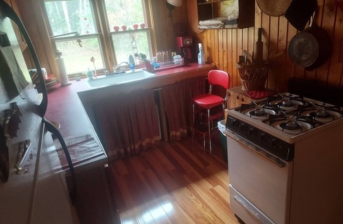 Grand Marais Cabin | BLUE MOOSE LODGEnGrand MaraisnRUSTIC CABIN on Devil Track Lake
