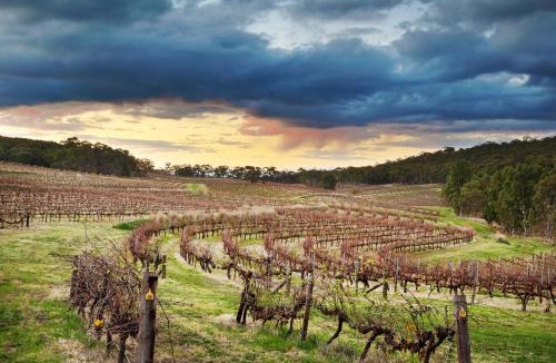 Clare House | Blue Orchid Tiny House