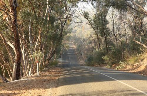 Clare House | Blue Orchid Tiny House