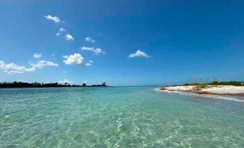 Englewood South Apartment | Blue Paradise