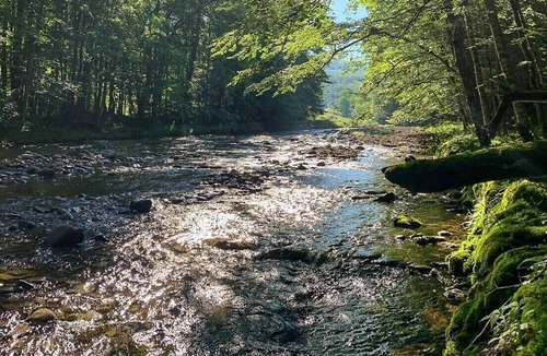 Claryville Cabin | Blue Quill Cabin - Woodland Escape on a River