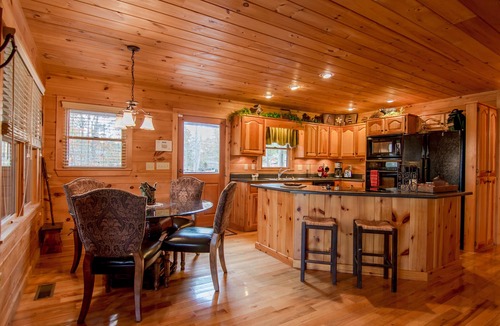 Blue Ridge Cabin | BLUE RIDGE TREE HOUSE - Relax in the ambiance of Blue Ridge - Private-EZ access