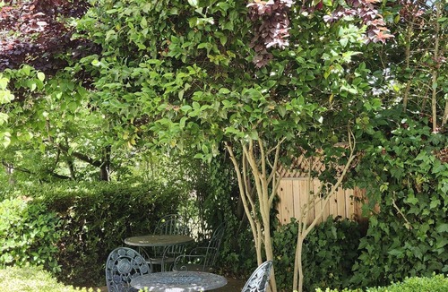 Sutter Creek Apartment | Blue Room | Steps to Wine & Food, Dogs Welcome!