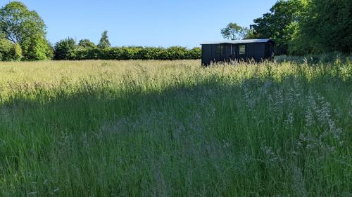 Chediston Other | Blue Sky Huts