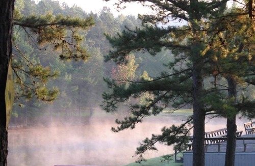 Caddo Gap Cabin | Blue Spirit · Private Studio Cabin in the Trees
