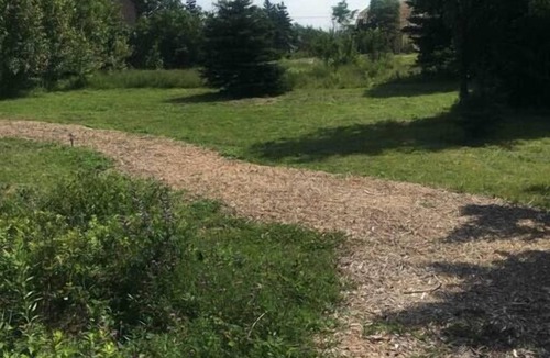 Ingonish House | Blue Spruce Camping Pod