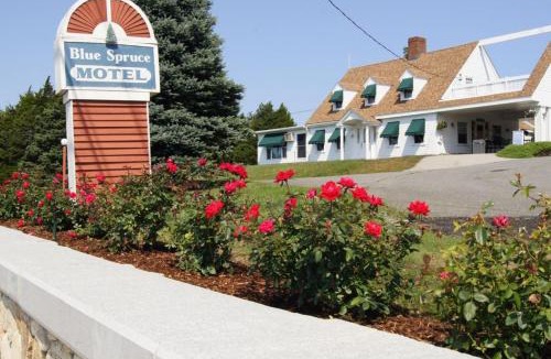 Manomet Hotel | Blue Spruce