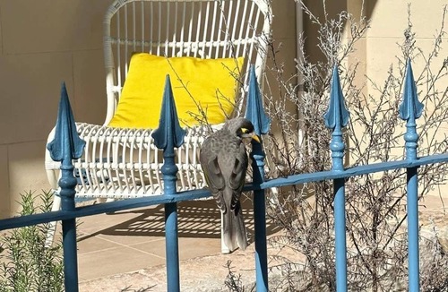 Annandale House | Blue Wren - Pet Friendly 3BR House with parking