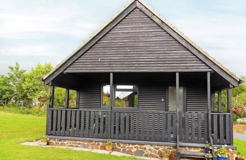 Beaworthy Cottage | Bluebell Lodge - UK13449