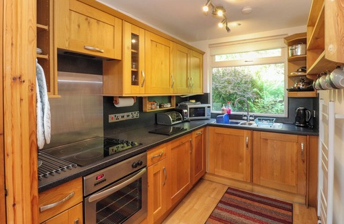 Chapel Stile Cottage | Bluebells