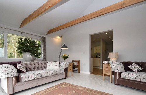 Beckley House | Bluebells