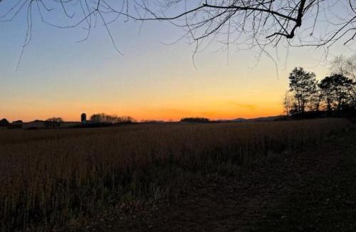 Horse Cave Villa | Bluegrass Bliss