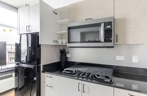 River North Apartment | Blueground | Goose Island, view, nr Lincoln Park