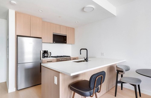 Williamsburg Apartment | Blueground | South Williamsburg, view, nr East River