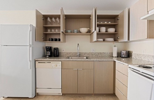 University District Apartment | Blueground | Univ Dist, pet area & elev, nr UW