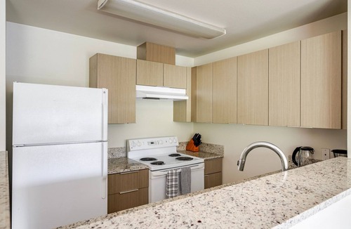 University District Apartment | Blueground | Univ Dist, pet area & elev, nr UW