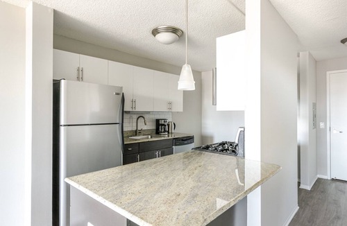 West Loop Gate Apartment | Blueground | West Loop, gym & bbq, nr Willis Tower