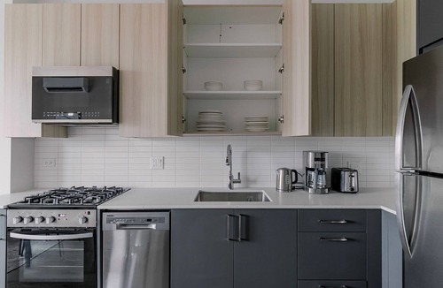 West Town Apartment | Blueground | West Town, view, nr Chicago River