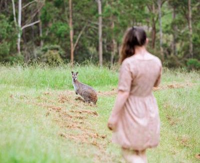 Bandon Grove House | Bluegums Cabins Barrington Tops