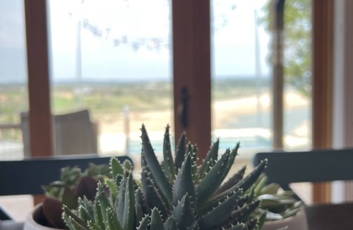 Spicewood House | Bluff House on the Lake
