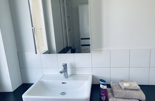 Zollikofen House | Blumiges Appartement 7 Min. von Bern-Zentrum entfernt