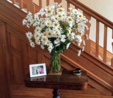 Wellington Bed & Breakfast | BnB at Bidwill