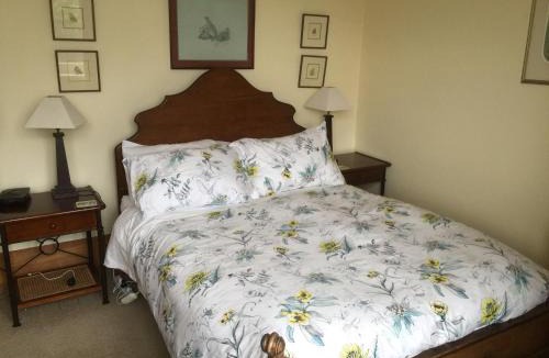 Wellington Bed & Breakfast | BnB at Bidwill