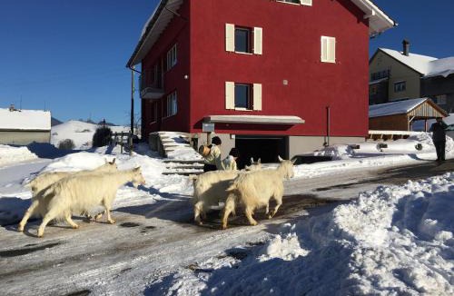 Urnaesch Bed & Breakfast | BnB chezlise
