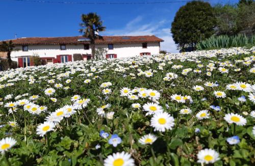 Artigat Bed & Breakfast | BnB Ferme Beauregard Les Pyrénées