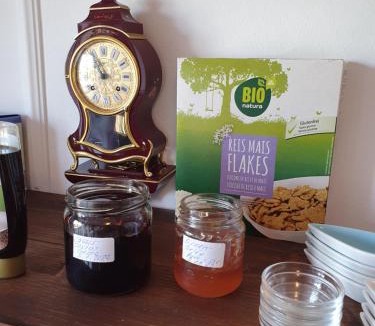Igis Bed & Breakfast | BnB Haus Weibel