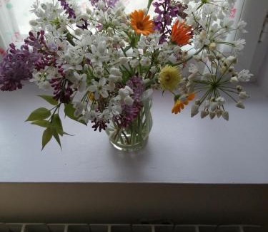 Brugairolles Bed & Breakfast | BnBinB La Cour Enchantée