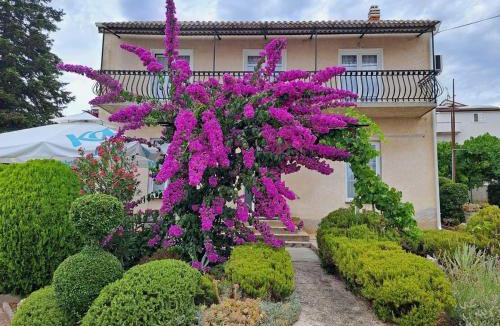 Biograd na Moru Apartment | Bošana Beach Apartment Biograd