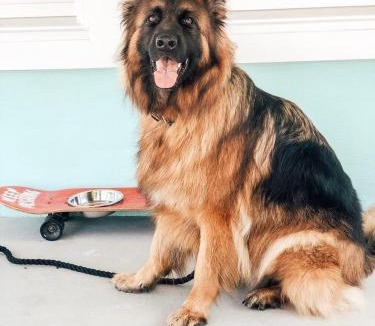 Cape May Hotel | Boarding House Cape May